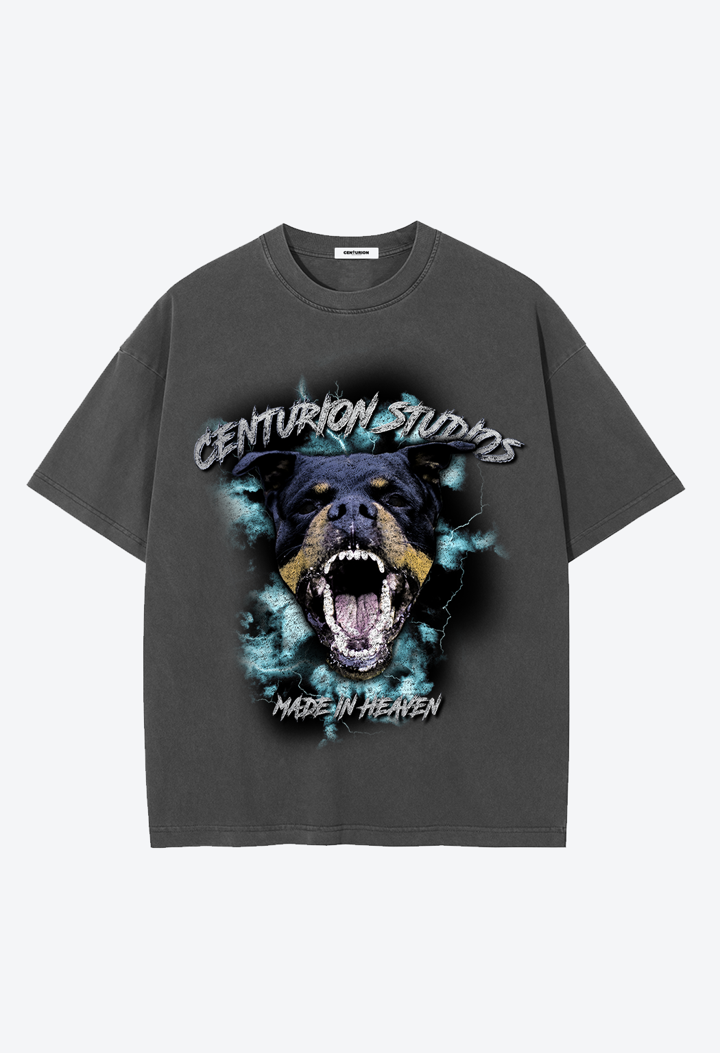 CSTUDIOS DOG T-SHIRT - WASHED GREY